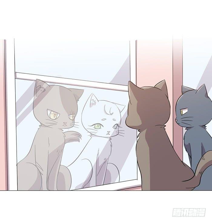 第040话