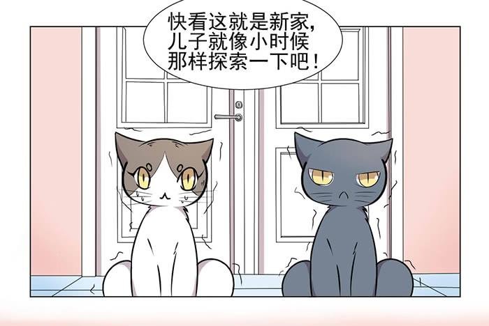 第040话