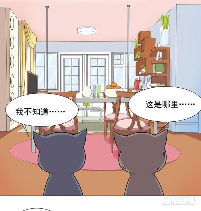 第040话