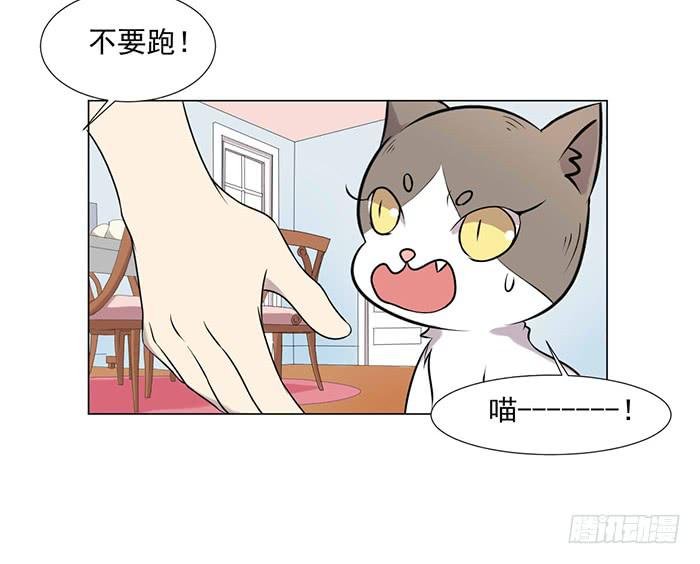 第040话