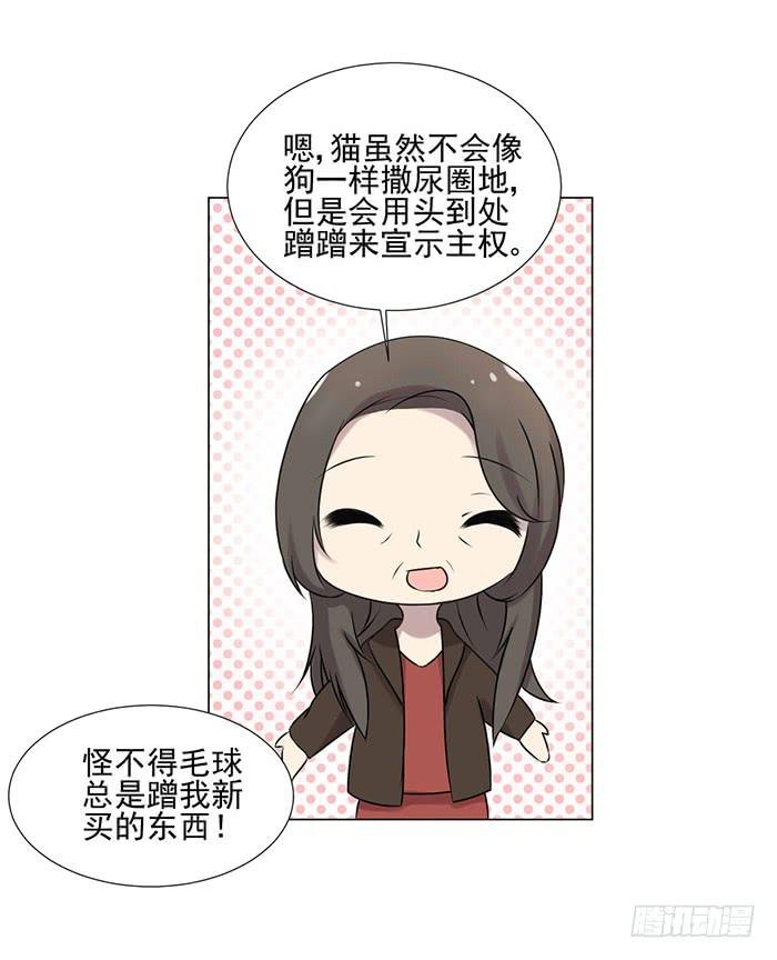 第040话