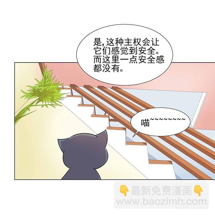 第040话