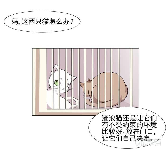 第040话