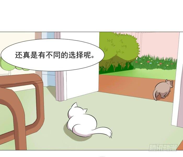 第040话