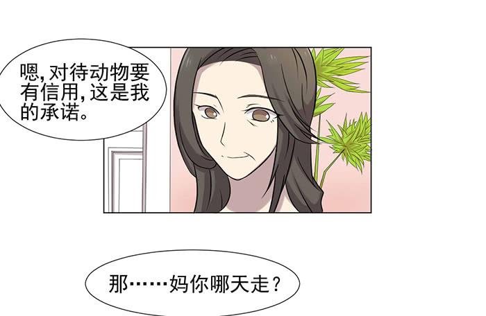 第040话