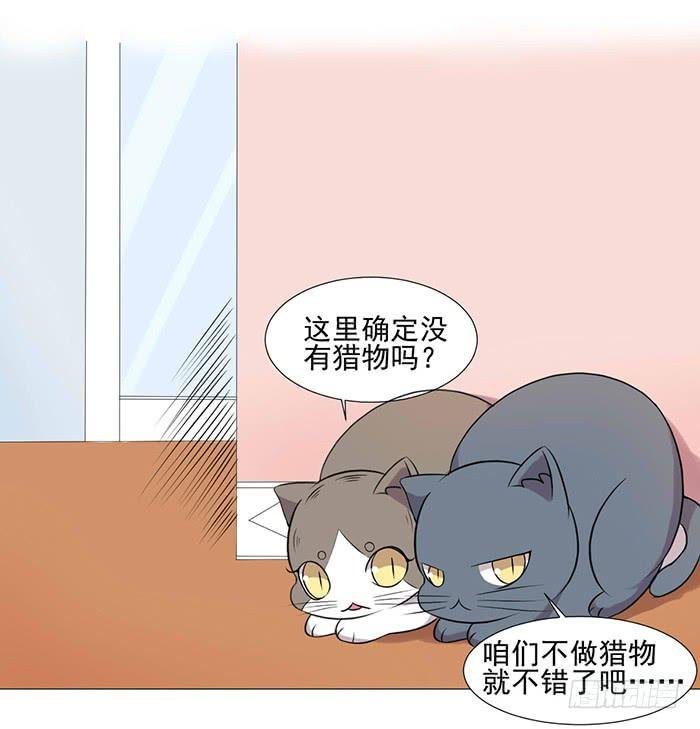 第040话