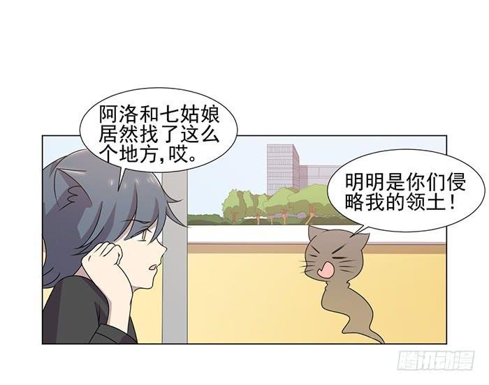 第041话