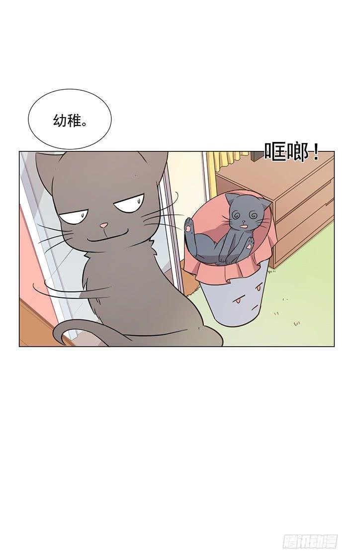 第041话