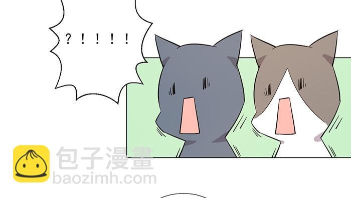 第041话