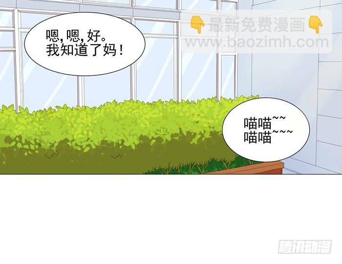 第041话
