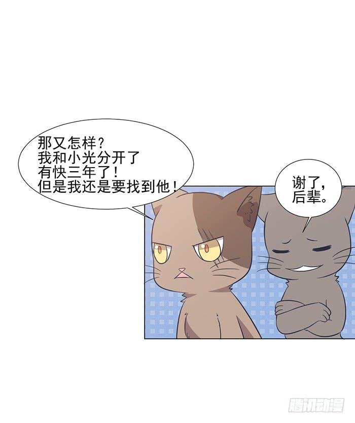 第042话