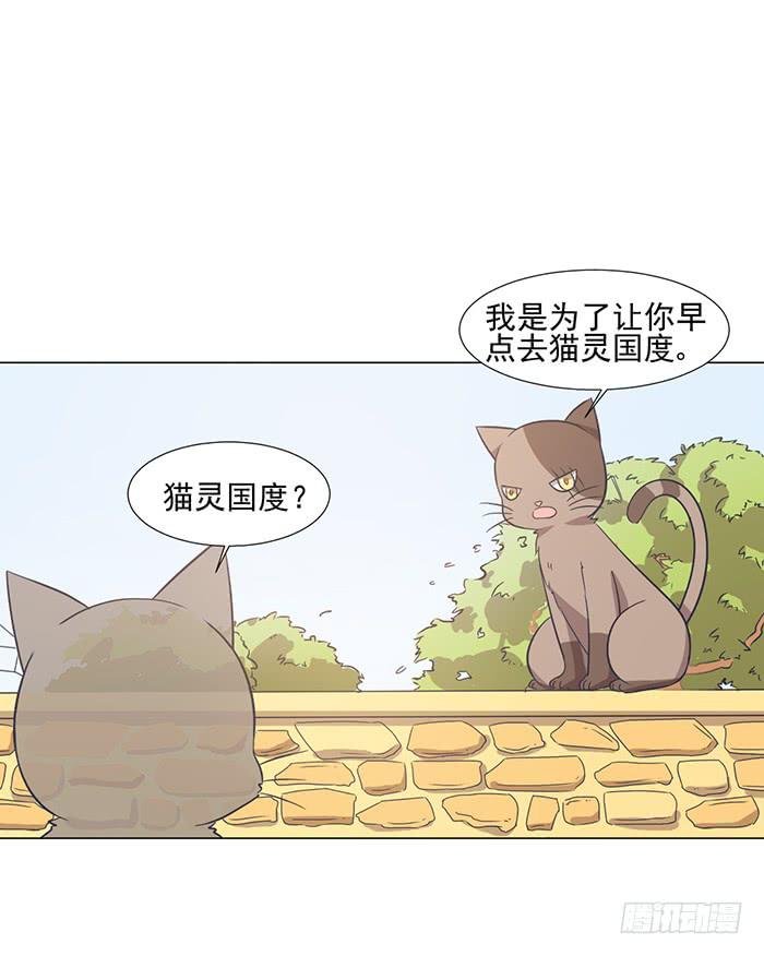 第042话