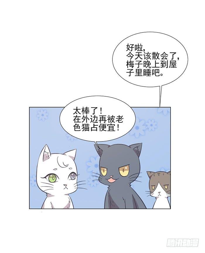 第042话
