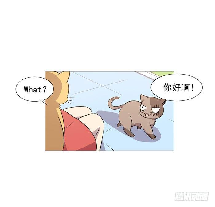 第042话