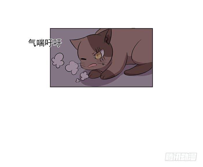 第042话