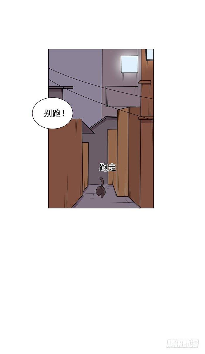第042话
