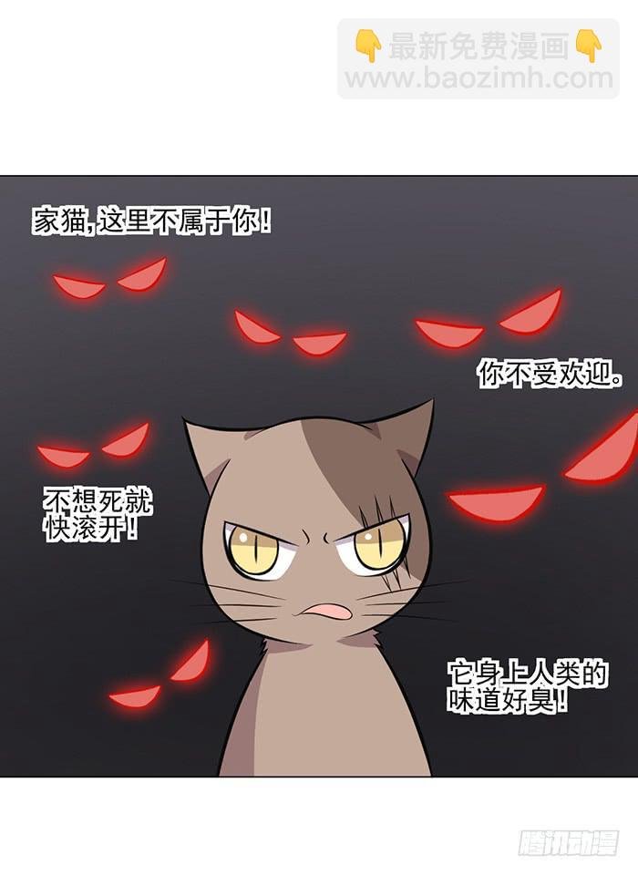 第042话