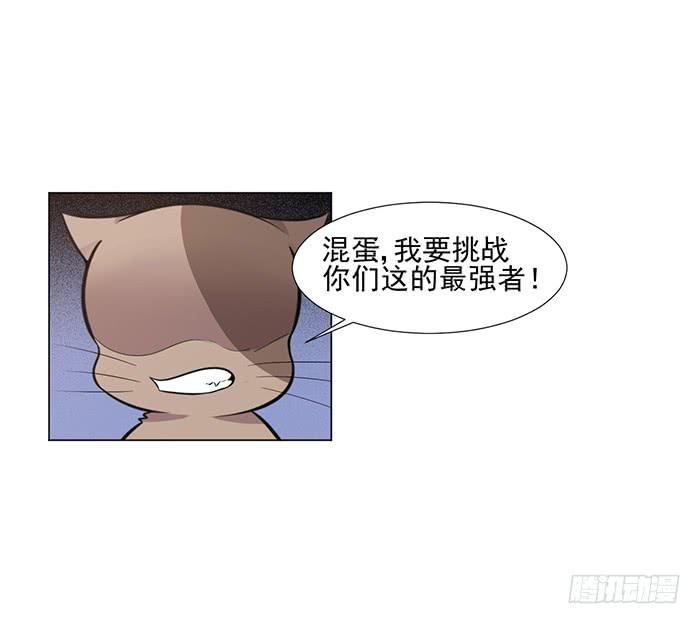 第042话