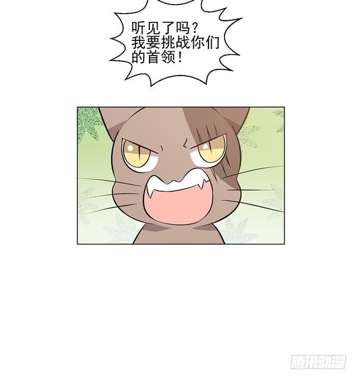 第042话