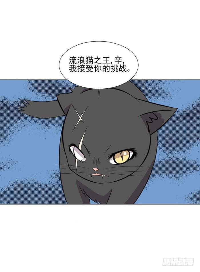 第042话