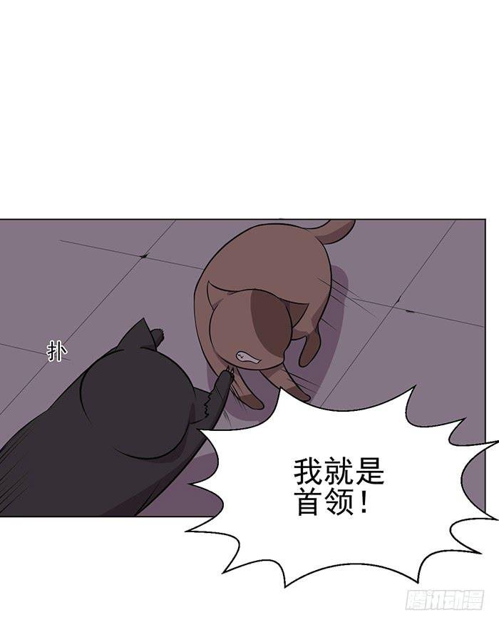 第042话