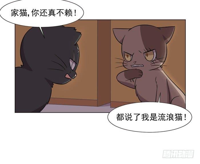 第042话