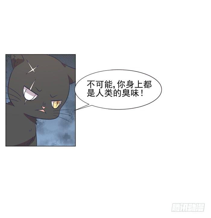 第042话