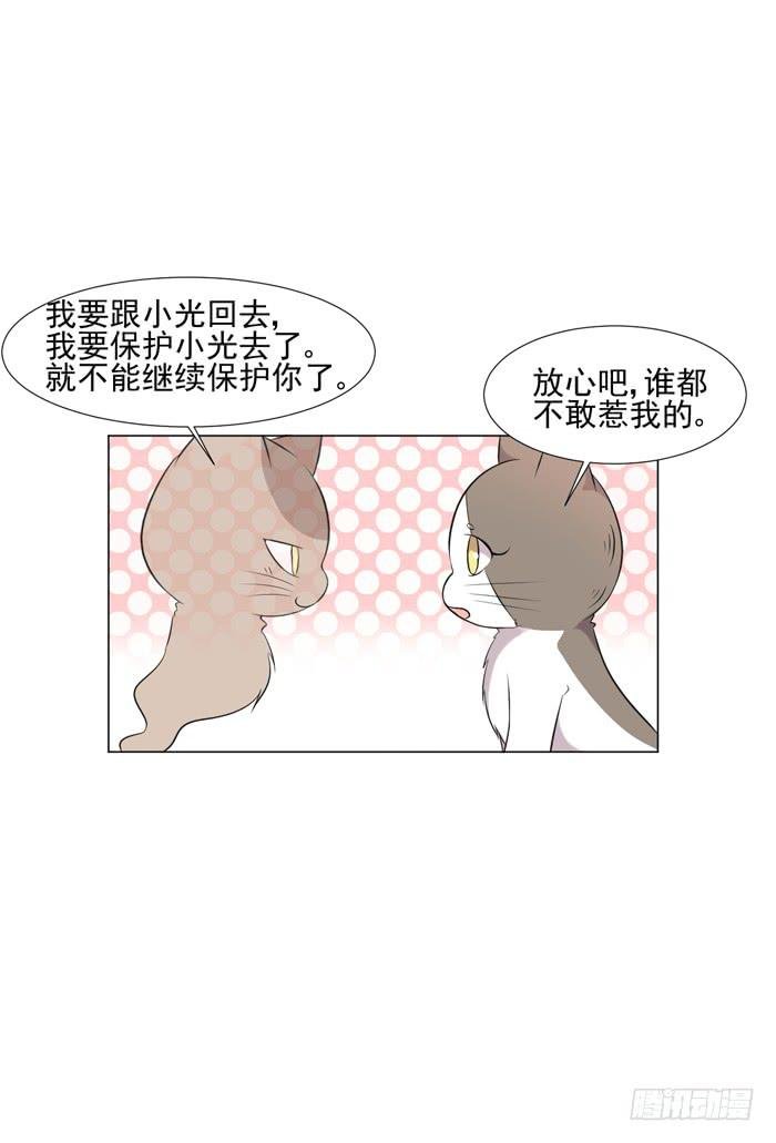 第044话