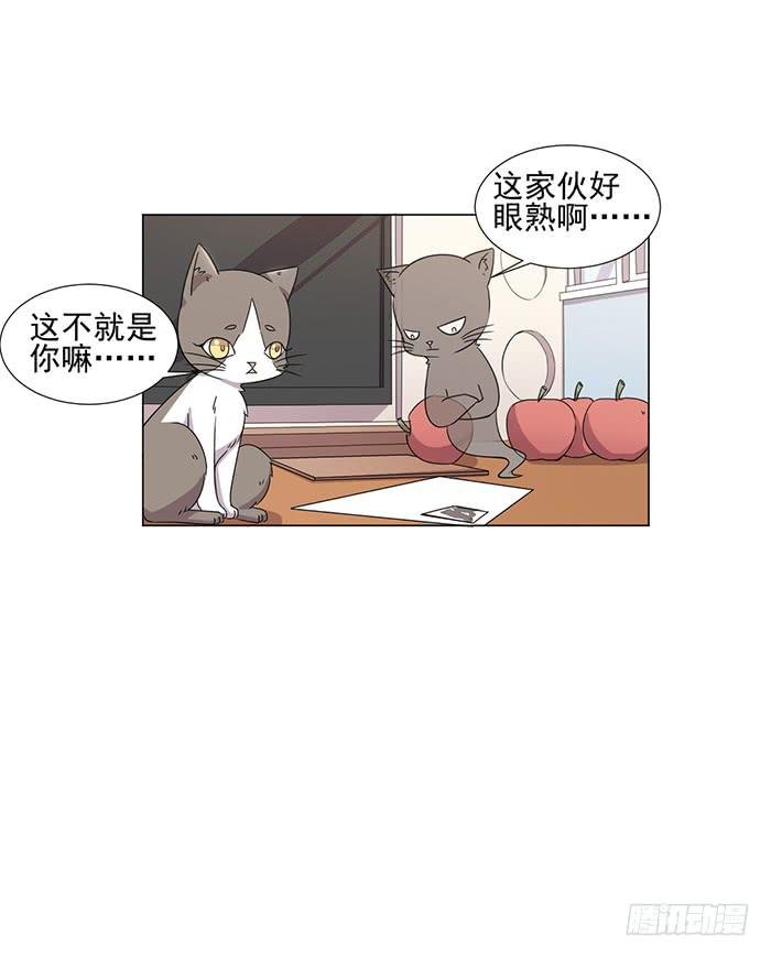 第045话
