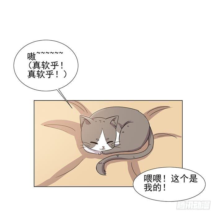 第045话