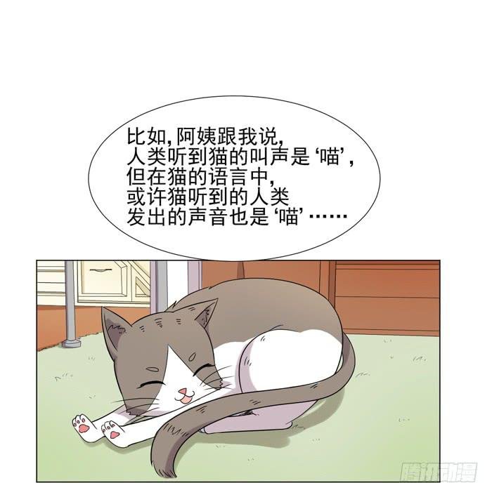 最终话