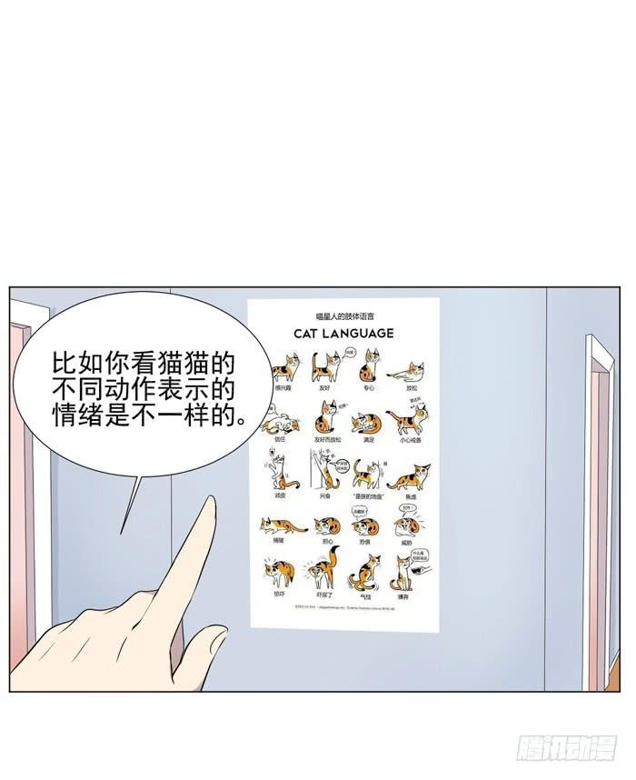 最终话