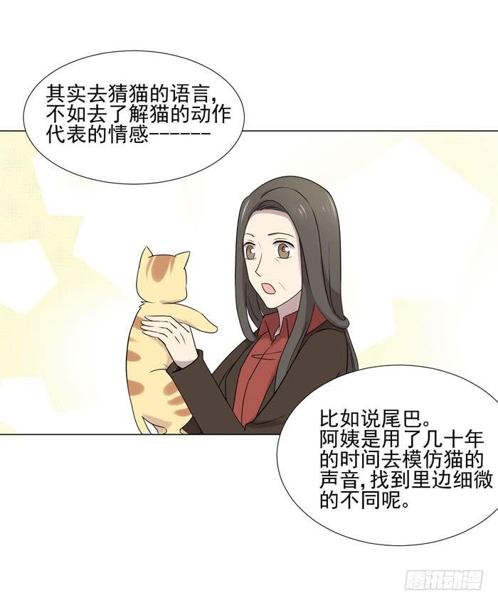 最终话