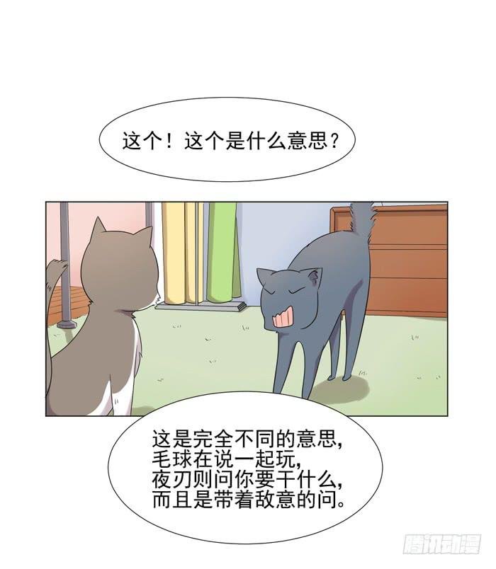 最终话