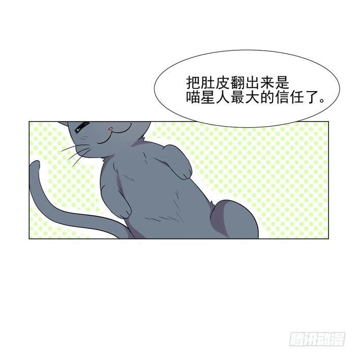 最终话