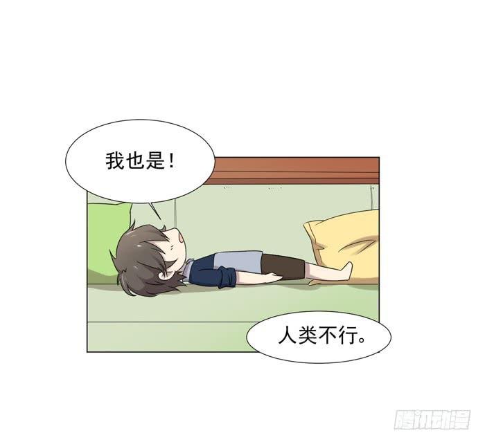 最终话