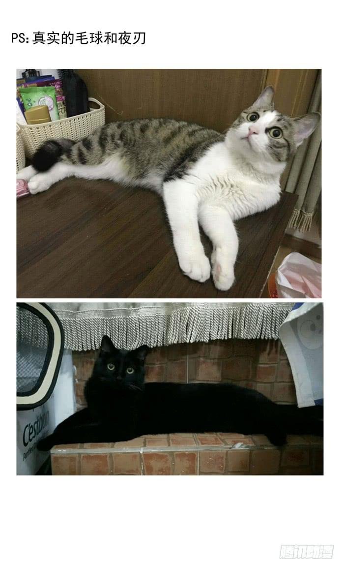 最终话