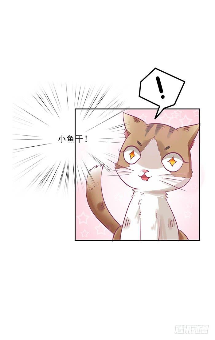 第005话