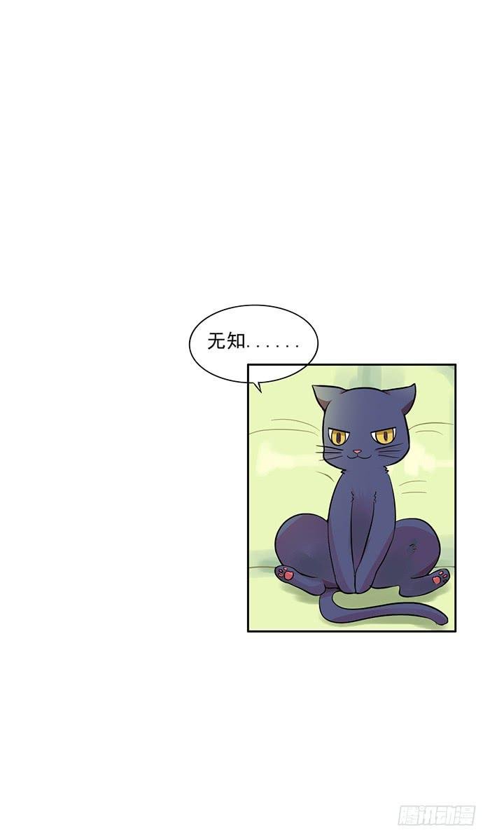 第005话