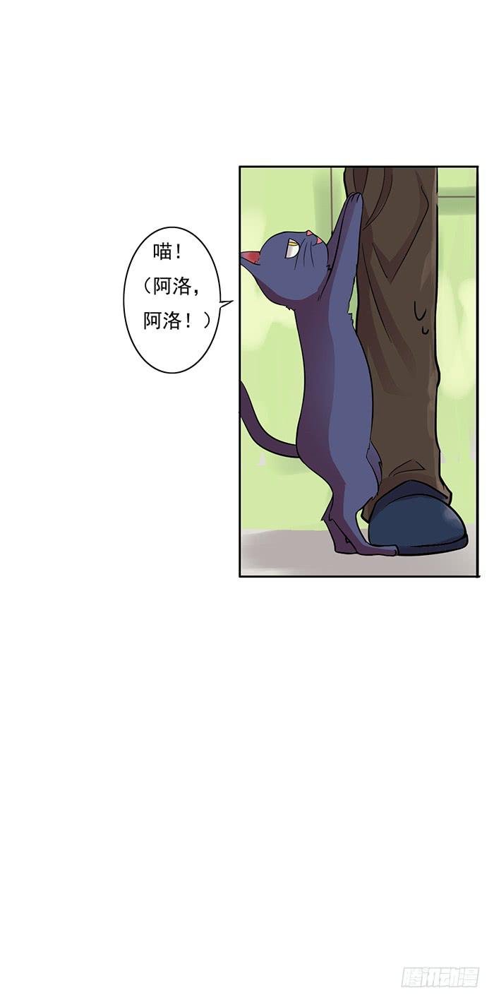 第005话