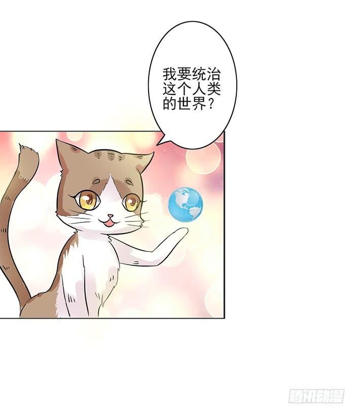 第008话