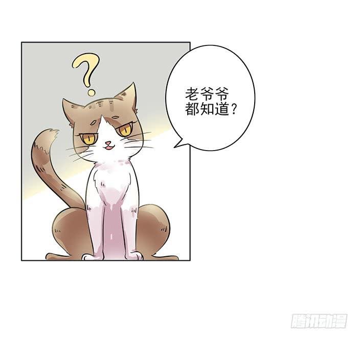第008话