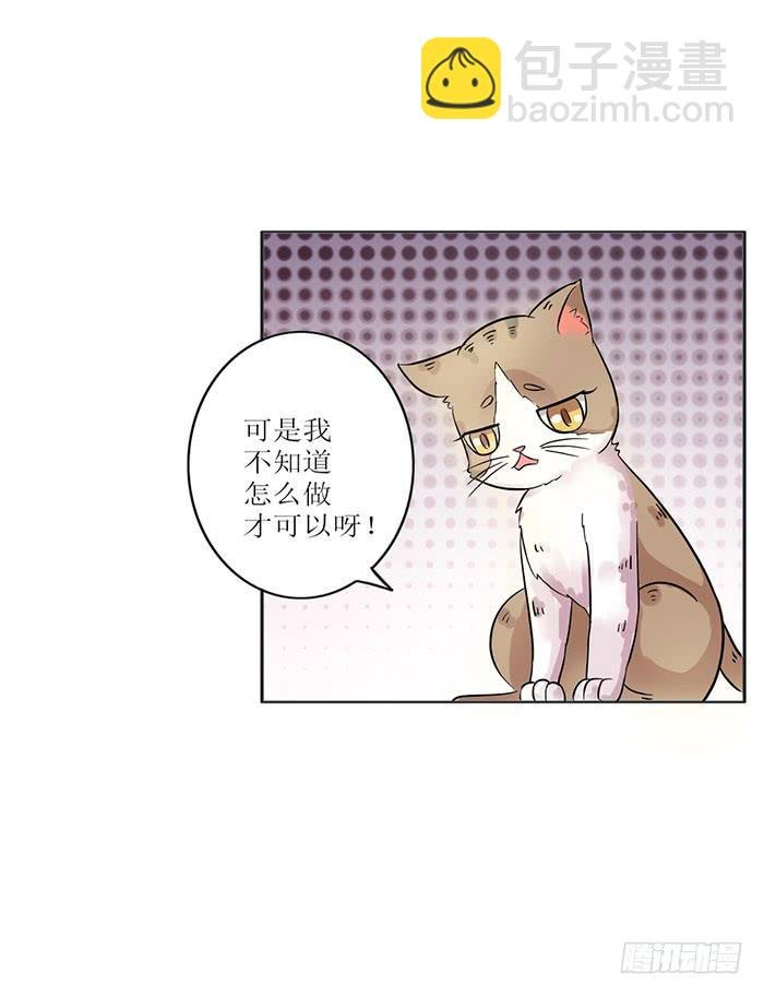第008话