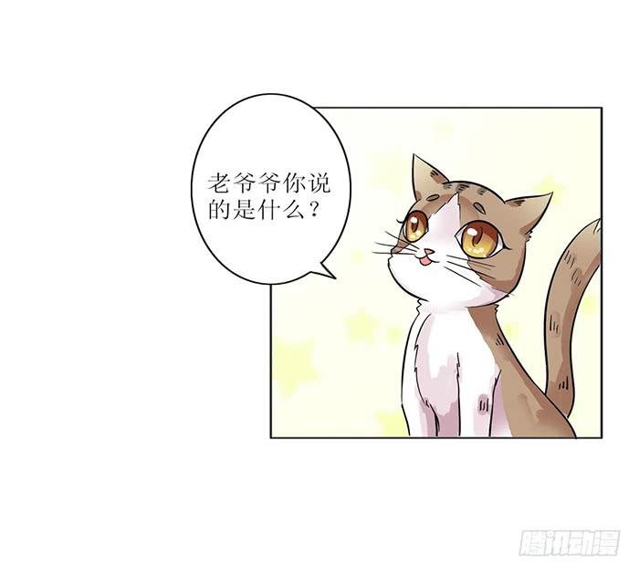 第008话