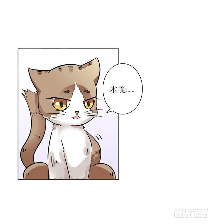 第008话