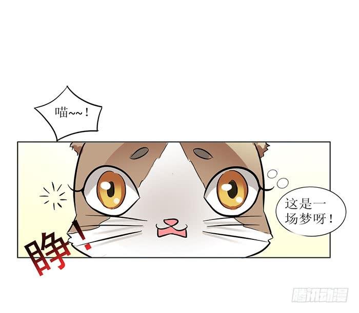 第008话