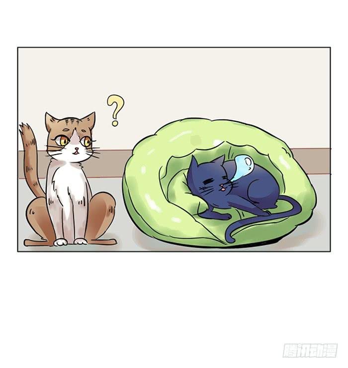 第008话