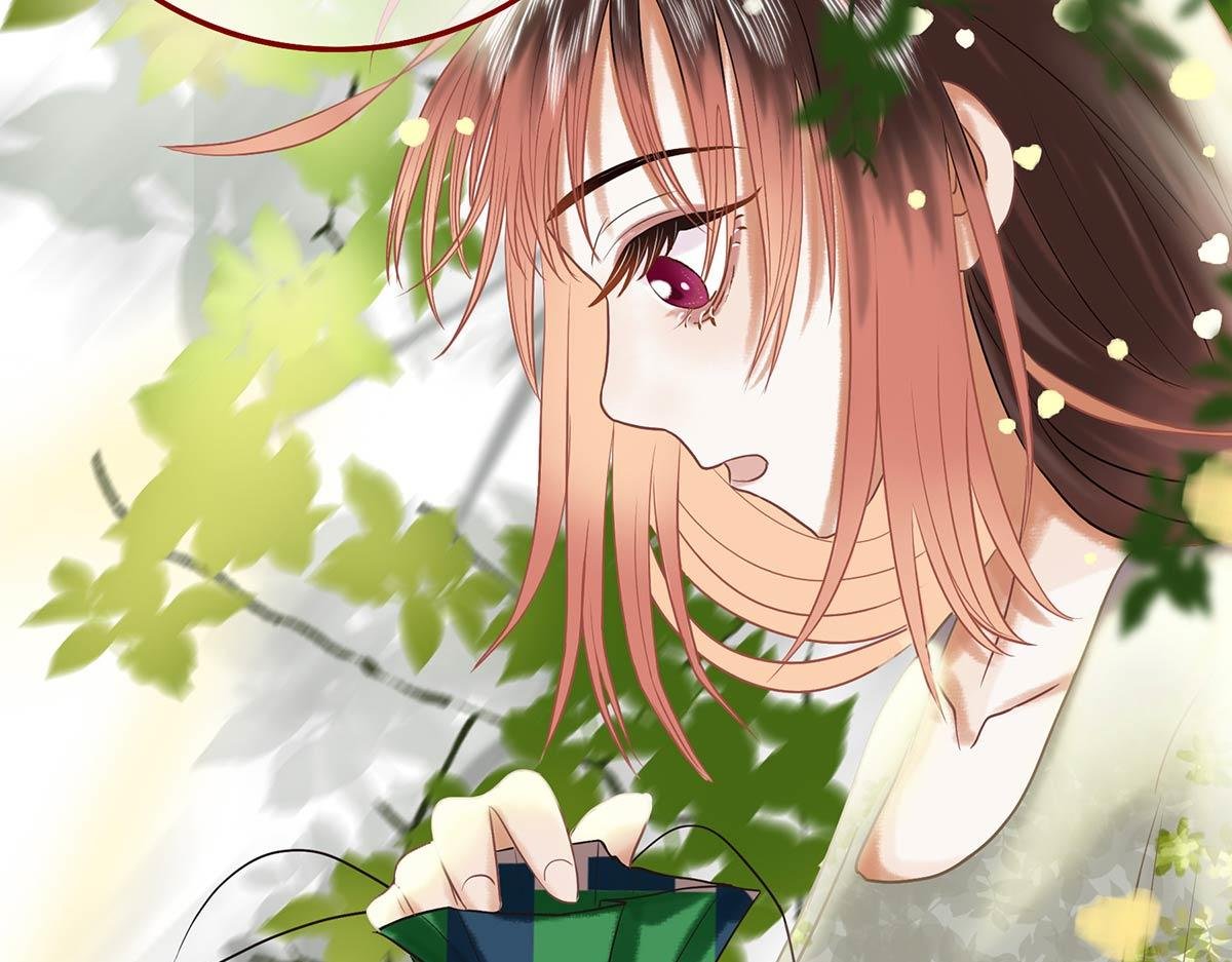 夏至(三)