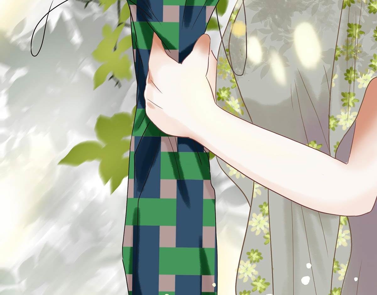 夏至(三)