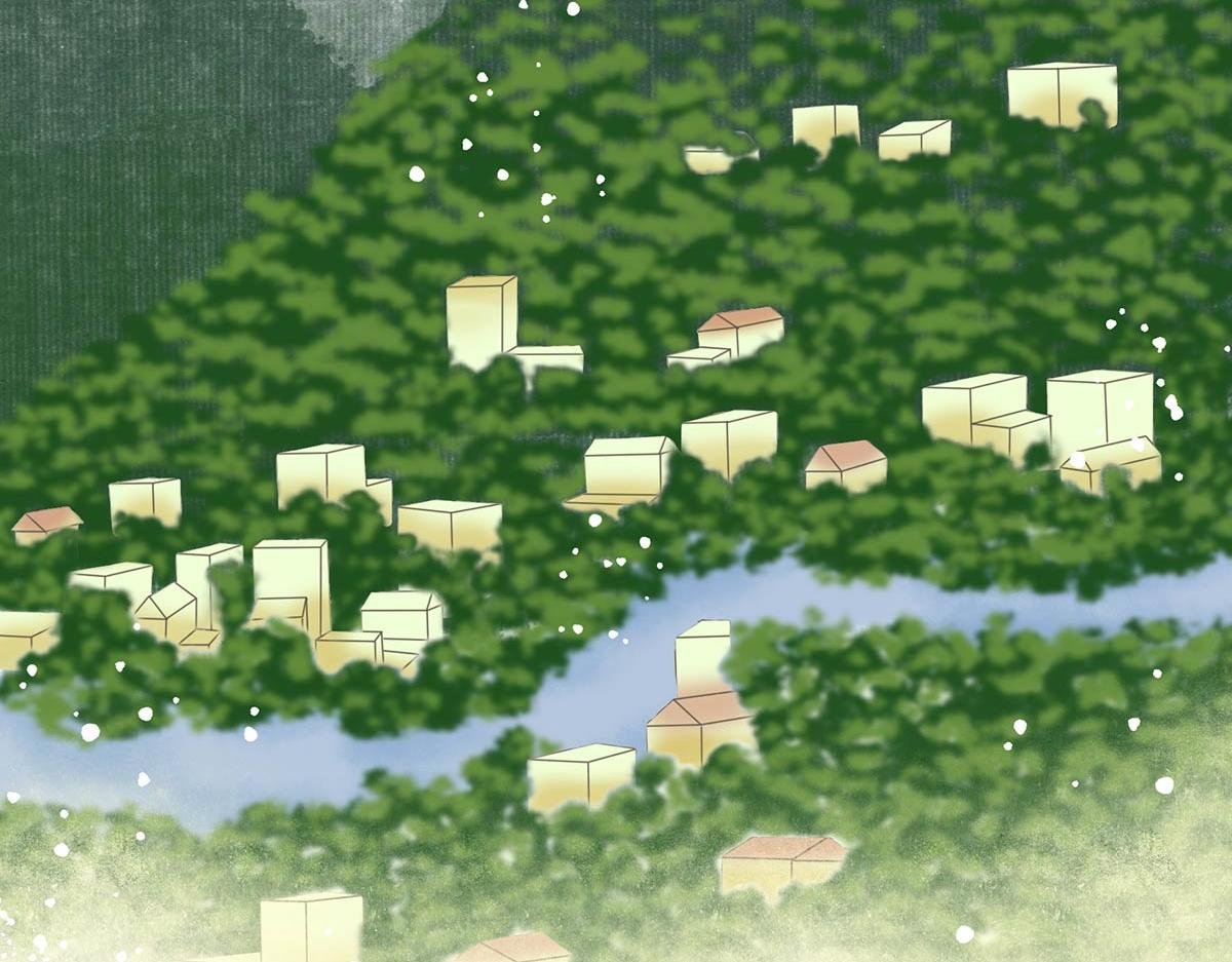夏至（二）
